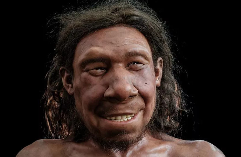 neandertal 